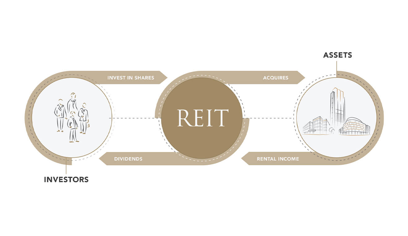 What is a REIT?